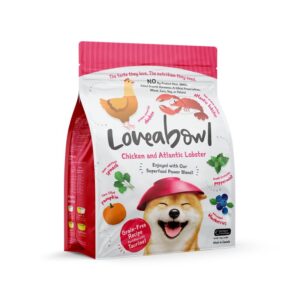 貓糧推薦與狗糧香港全面解構：你家的毛孩值得吃得更好！